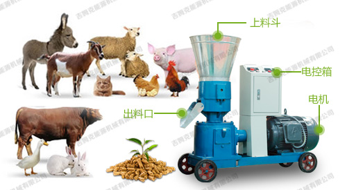 小型養(yǎng)殖專用飼料顆粒機 小型養(yǎng)殖專用飼料顆粒機